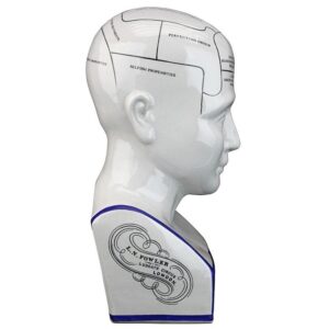 Design Toscano SP020 5 1/2 Inch Porcelain Phrenology Head