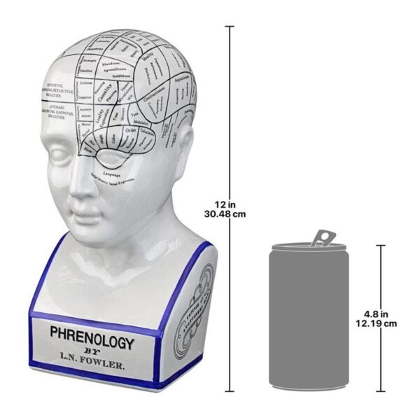 Design Toscano SP020 5 1/2 Inch Porcelain Phrenology Head