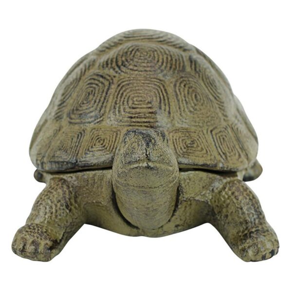 Design Toscano SP1062 10 Inch Aesops Turtle Statue