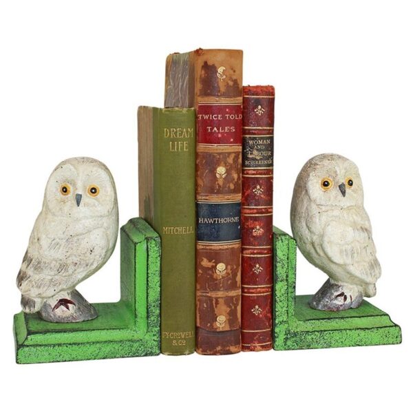 Design Toscano SP2819 3 1/2 Inch Wise Snowy Owl Cast Iron Bookend Set