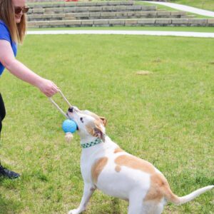 ProFit Foam Toy Rope Ball