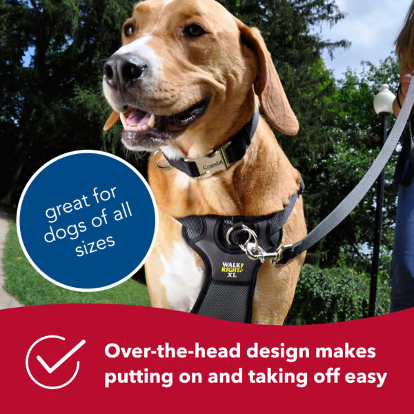 Walk Right!  Front-Connect No-Pull Padded Dog Harness