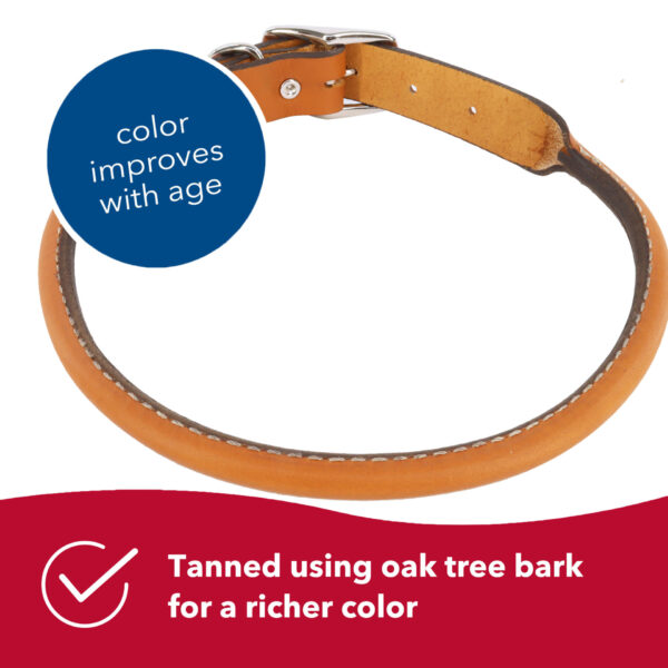 Circle T  Oak Tanned Leather Round Dog Collar