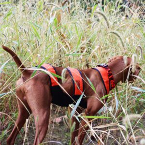 Water & Woods Dog Chest Protector