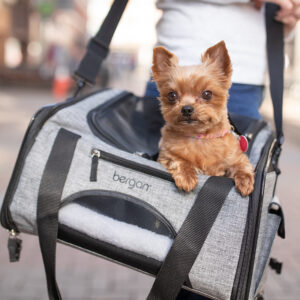 Bergan  Booster Pet Carrier