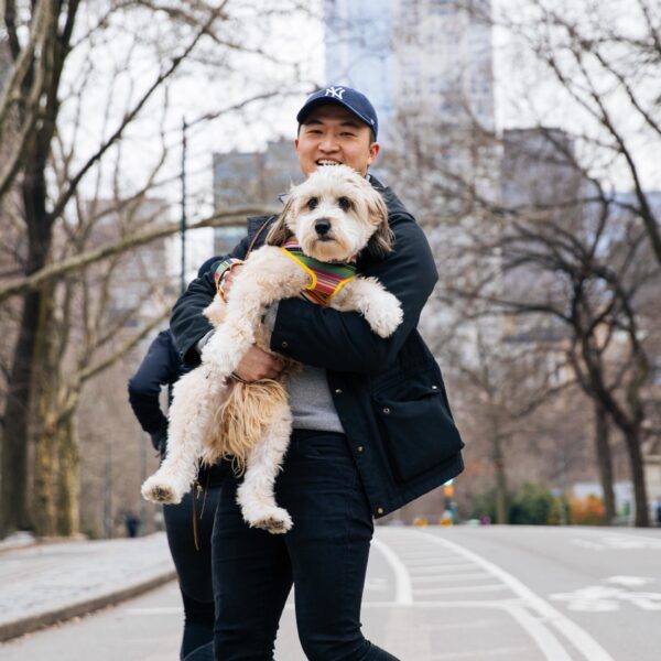 Sublime  Reversible Dog Harness