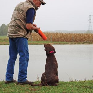 Water & Woods Canvas Dog Training Dummies