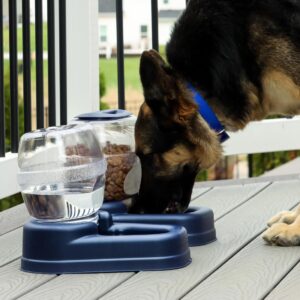 Bergan  Petite Gourmet Feeder