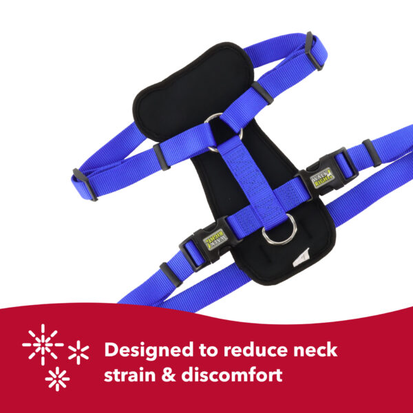 Walk Right!  Front-Connect No-Pull Padded Dog Harness