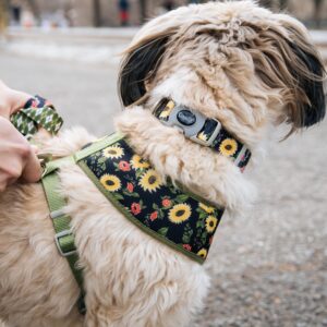 Sublime  Reversible Dog Harness