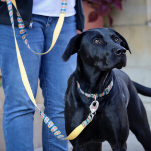 Sublime  Dog Leash