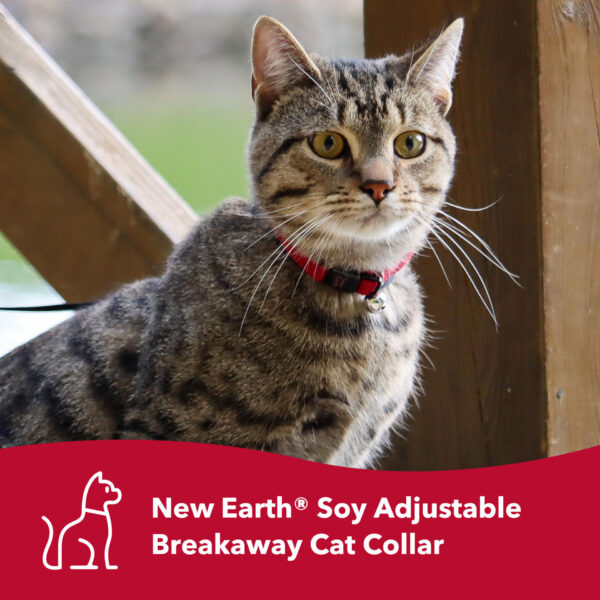 New Earth  Soy Adjustable Breakaway Cat Collar